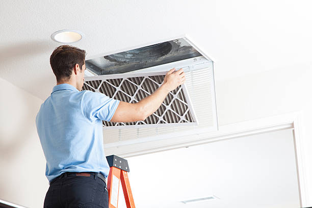 Best Best HVAC Companies  in Bolindale, OH